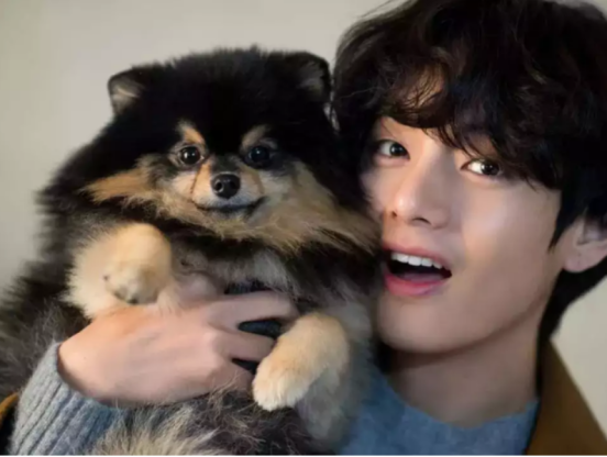 Taehyung & Yeontan